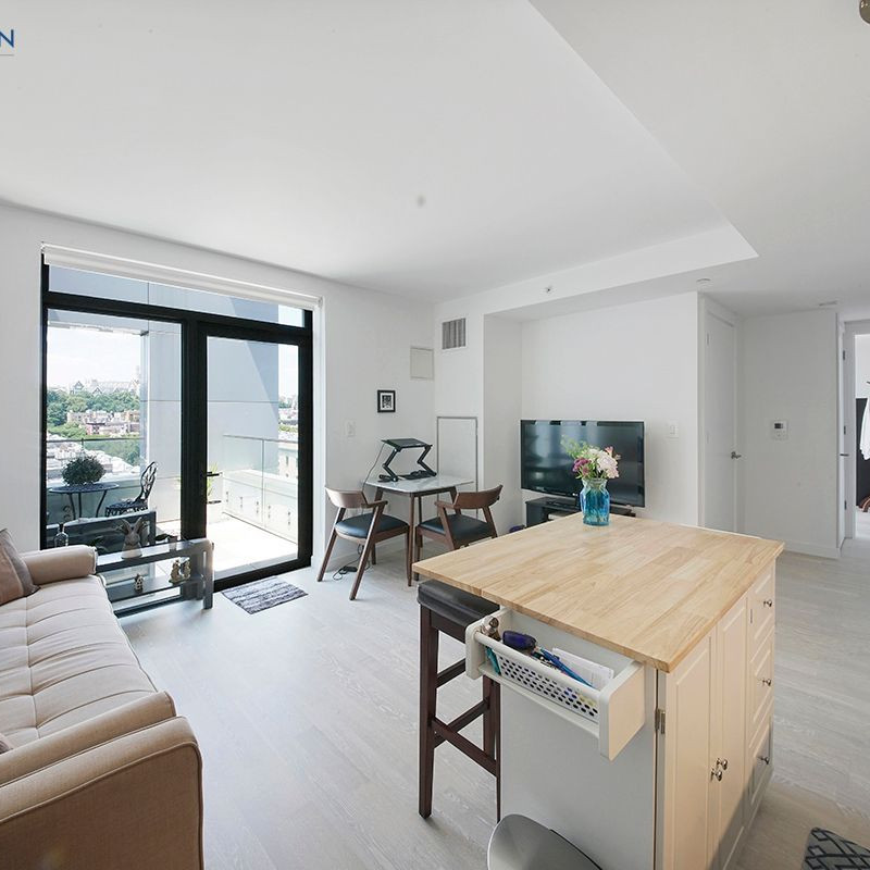 Open-sky views over Harlem’s iconic rooftops, brownstones, and beyond. — photo 3