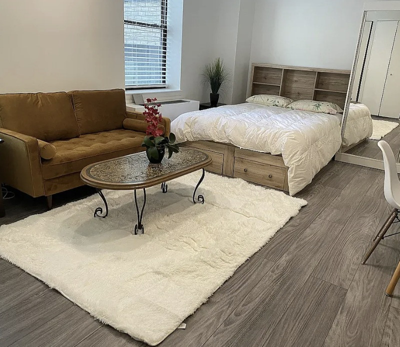 Fully Furnished Renovated Studio Condo in the Heart of Midtown — photo 2